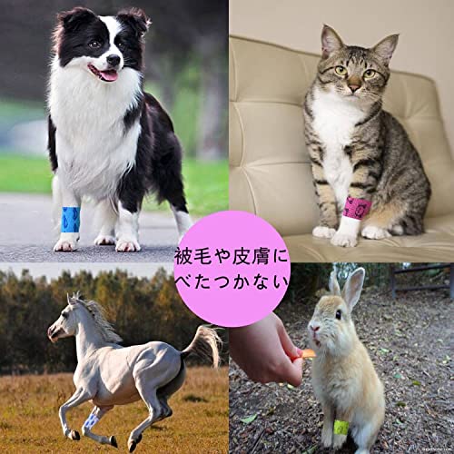 ペットフレックス 粘着包帯 自着性伸縮包帯 弾力包帯 バンテージ ペット 犬 猫 伸縮 防水 不織布 6点セット 2.5cm x 4.5m MNKT-03